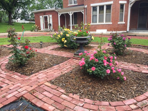 Rose Garden
