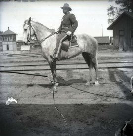 Negative, Glass-plate