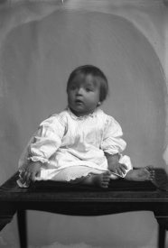 Negative, Glass-plate