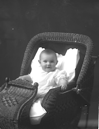 Negative, glass-plate