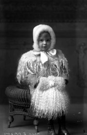 Negative, glass-plate