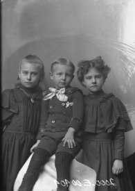 Negative, glass-plate