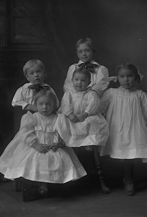 Negative, Glass-Plate